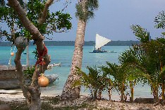 L'île des Pins